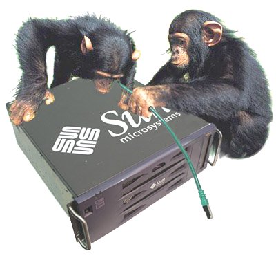 Codeangels Solutions GmbH, your partner for Security, Network, UNIX